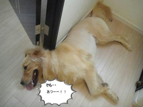 run20110601-4.JPG