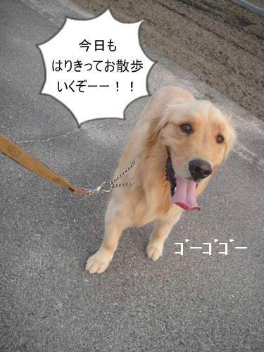 run20110602-2.JPG