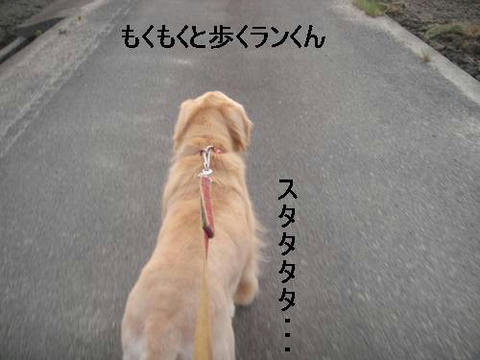 run20110602-4.JPG