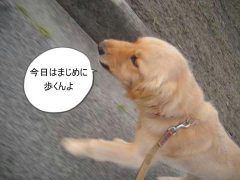 run20110602-5.JPG