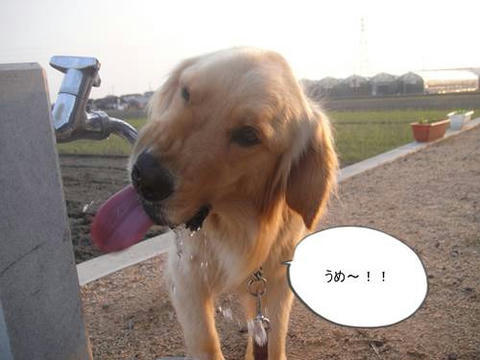 run20110603-5.JPG