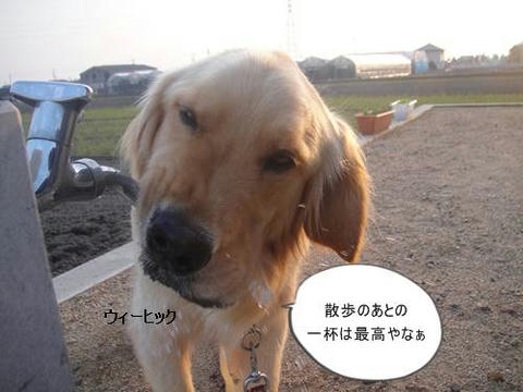 run20110603-6.JPG