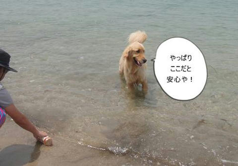 run20110605-2.JPG