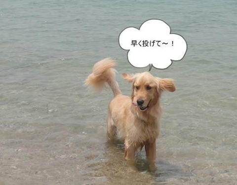 run20110605-3.JPG