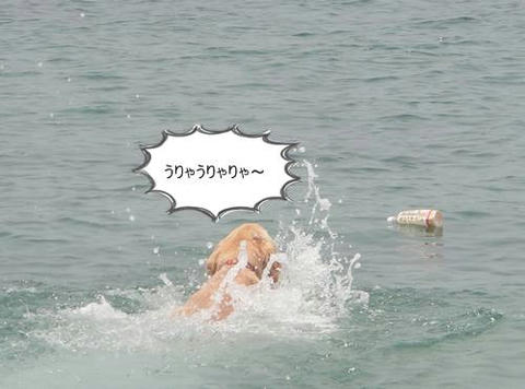 run20110605-6.JPG