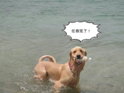 run20110605-8.JPG