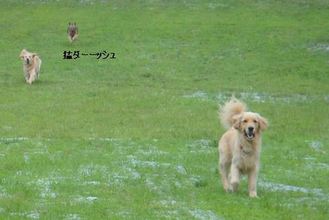 run20110703-2.JPG