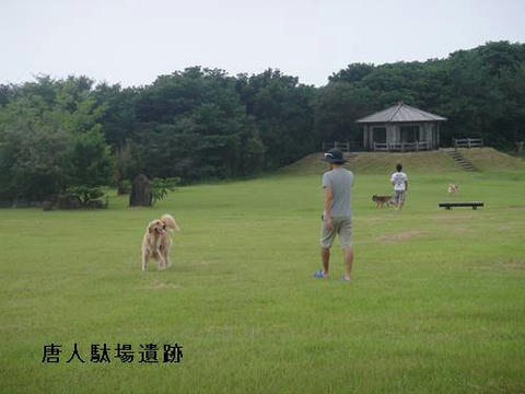 run20110728-14.JPG