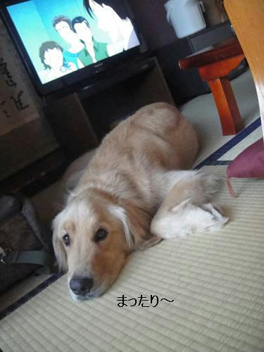 run20110728-3.JPG