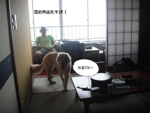 run20110728-1.JPG