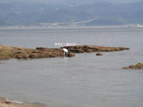 run20110820-12.JPG