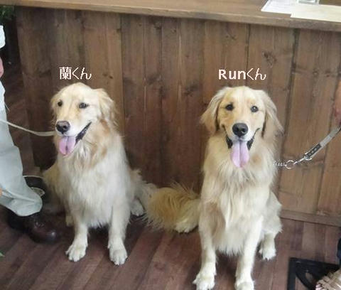 run20110903-1.JPG