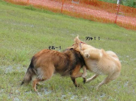 run20110910-13.JPG