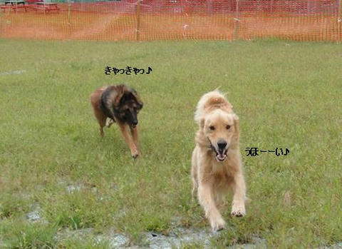 run20110910-14.JPG