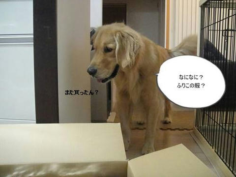run20111028-1.JPG