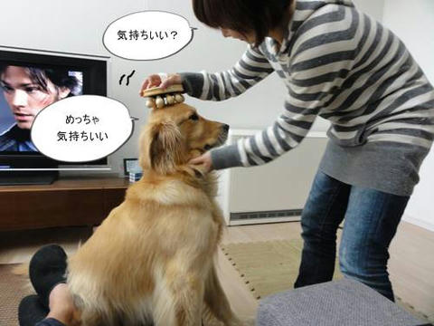 run20111118-11.JPG