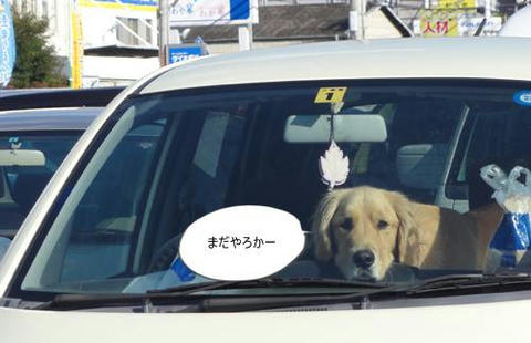 run20111124-4.JPG