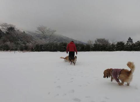 run20120103-1.JPG
