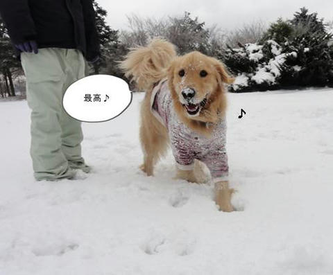 run20120103-7.JPG