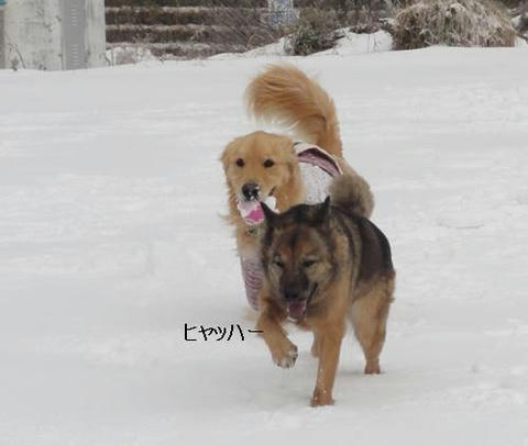 run20120103-9.JPG