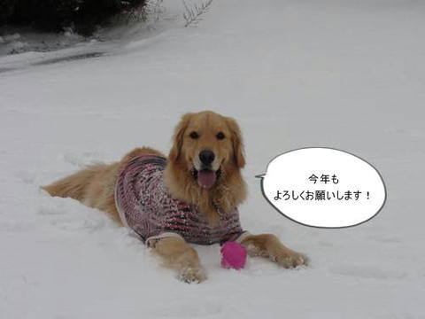 run20120103-12.JPG
