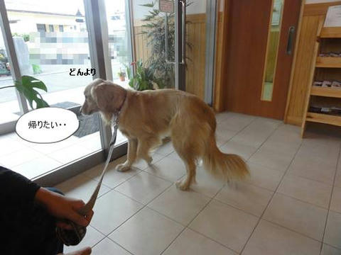 run20110108-2.JPG