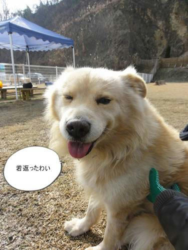 run20120130-10.JPG