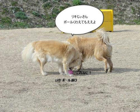 run20120130-12.JPG