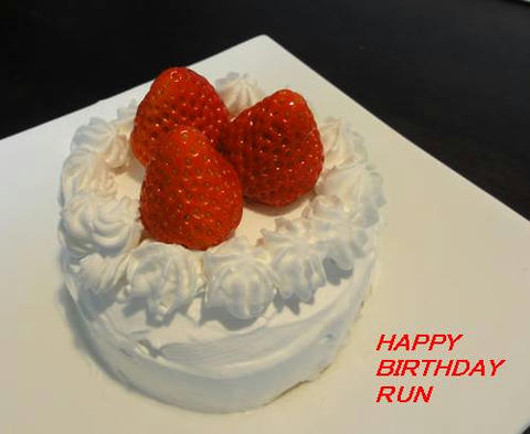 run20120203-1.JPG