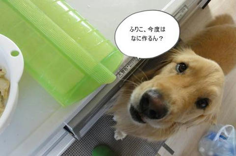 run20120214-1.JPG