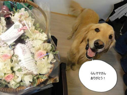 run20120224-3.JPG