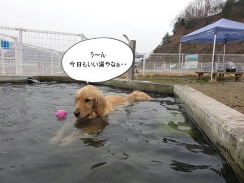 run20120307-1.JPG