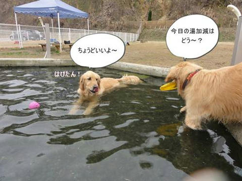 run20120307-2.JPG