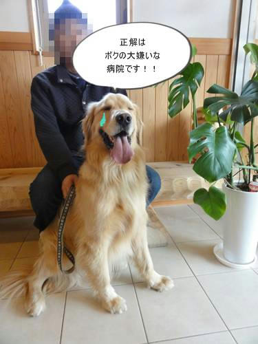 run20120317-2.JPG