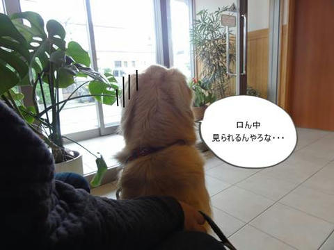 run20120317-3.JPG