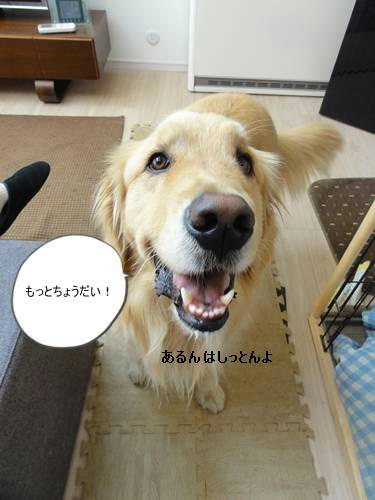 run20120317-9.JPG