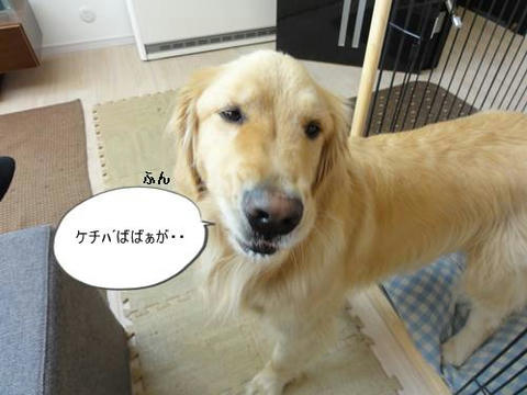 run20120317-10.JPG