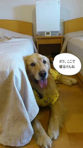 run20120423-6.JPG