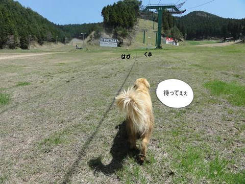 run20120424-1.JPG