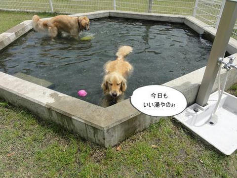 run20120425-1.JPG