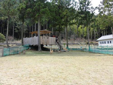 run20120503-4.JPG