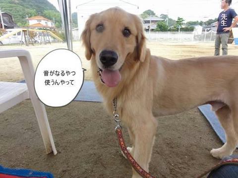 run20120630-4.JPG