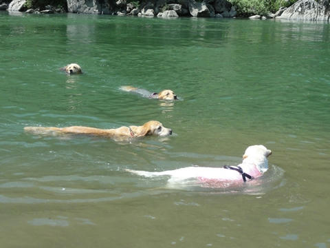 run20120908-4.JPG