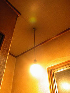 DOSHISHA(ドウシシャ) LED電球 Luminous(ルミナス)LED 60W形 電球色 CJ-A60G-L の色味、明るさ