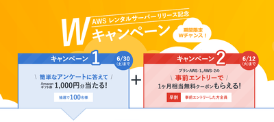 Wキャンペーン