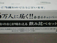 ken03.jpg