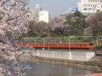 d6202439.jpg