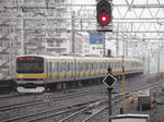 P4254522.jpg