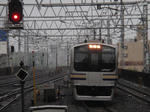 P4254524.jpg