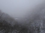 P2127592.jpg